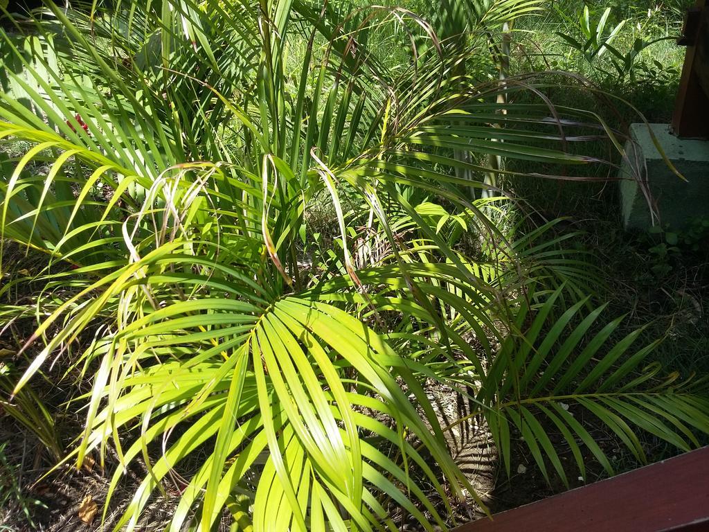Kalinka Inn Gili Meno Zewnętrze zdjęcie